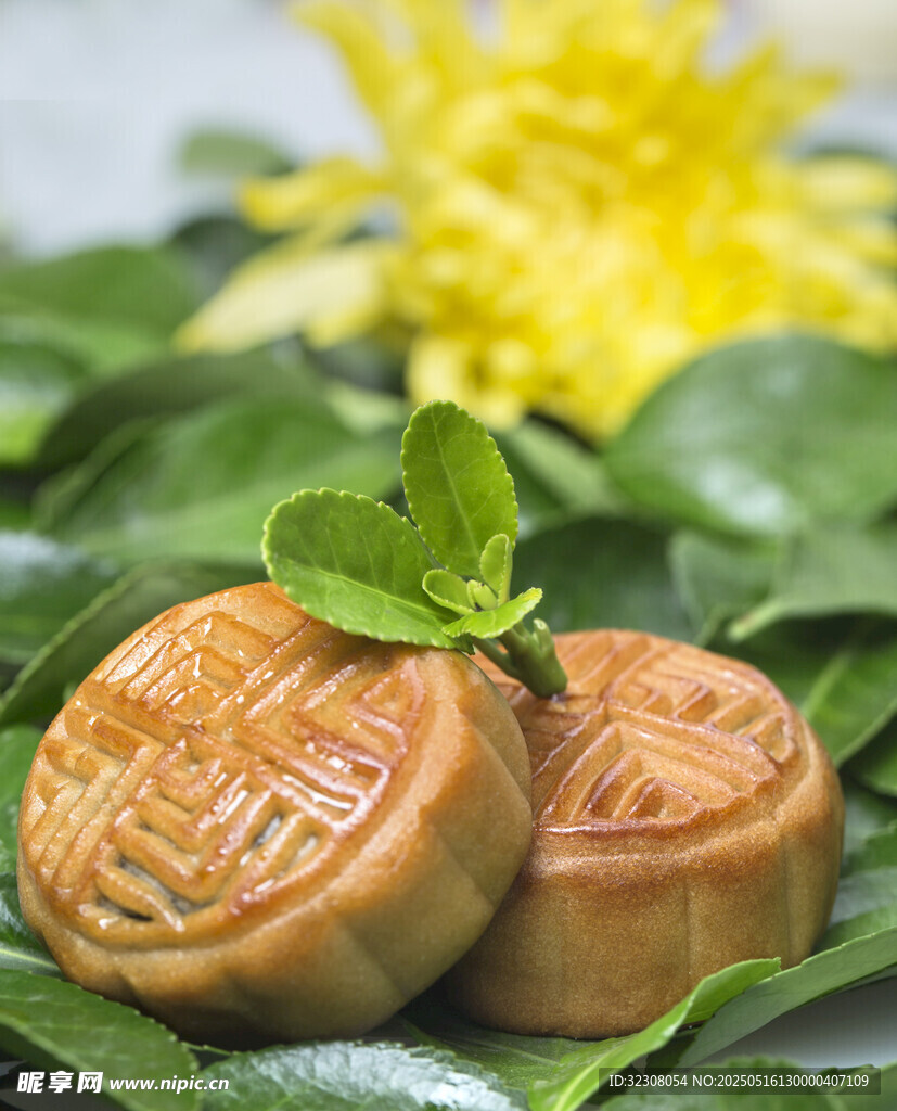 双枚月饼配绿叶与黄花