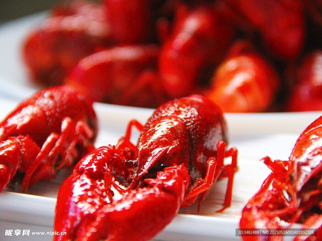 美味小龙虾特写
