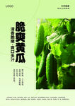 脆嫩黄瓜