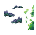 梦幻绿植景观元素集合