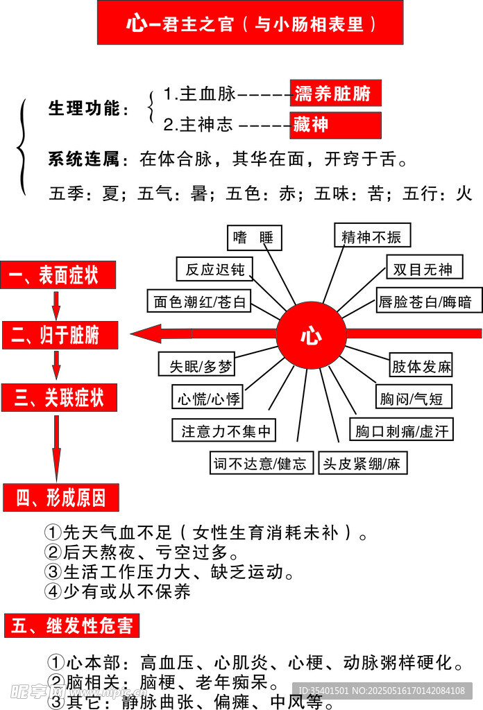 心脏系统分析图