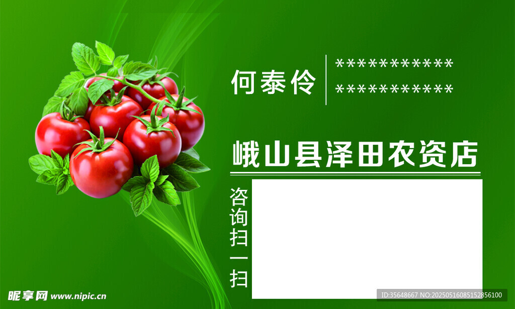新鲜番茄 绿背景农产品