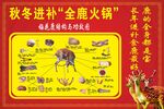秋冬进补全能火锅指南