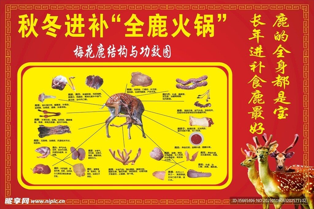 秋冬进补全能火锅指南