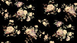 黑色底花卉图案纹理