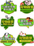 宠物摄影促销标签集合手举牌