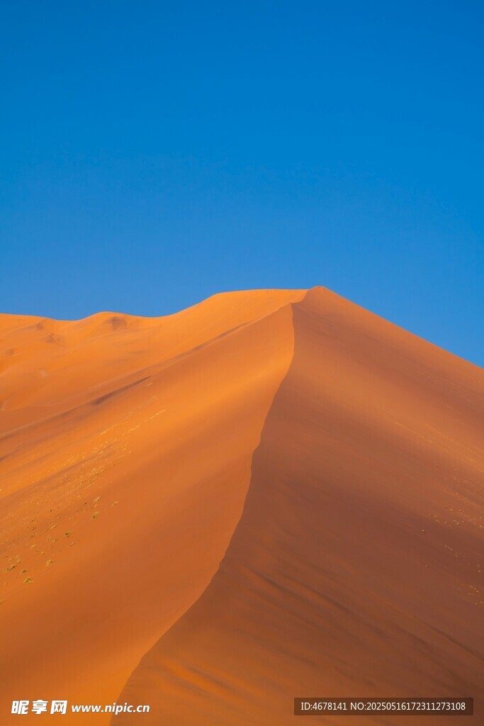壮丽沙漠沙丘景观
