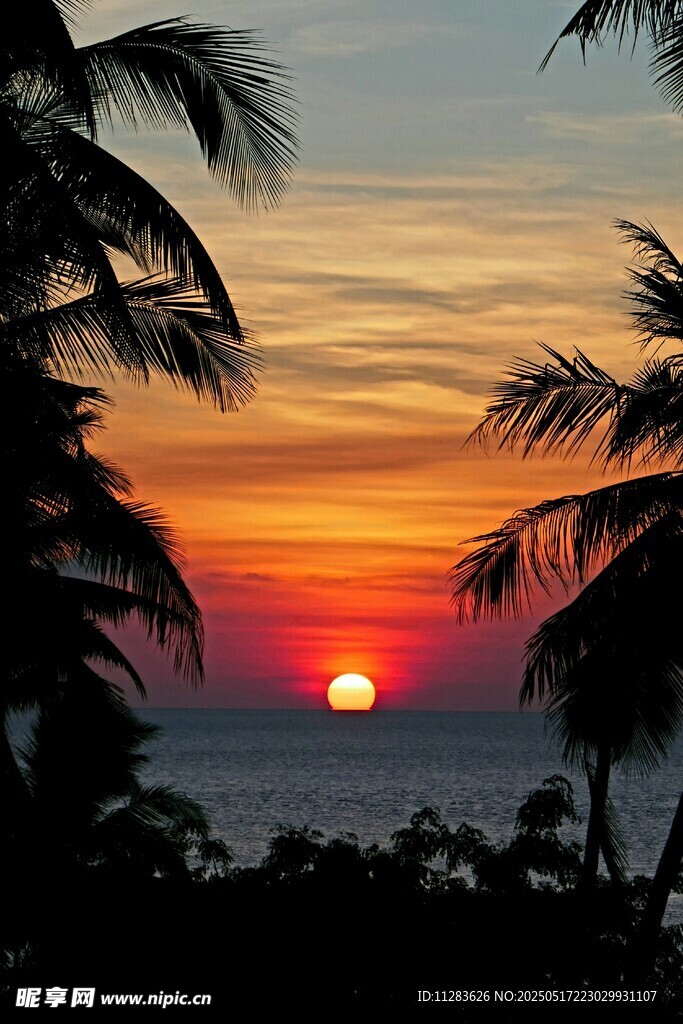 夕阳下的椰林海景