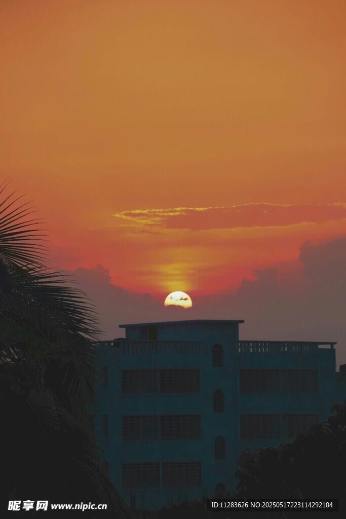 夕阳下的建筑与摇曳枝叶