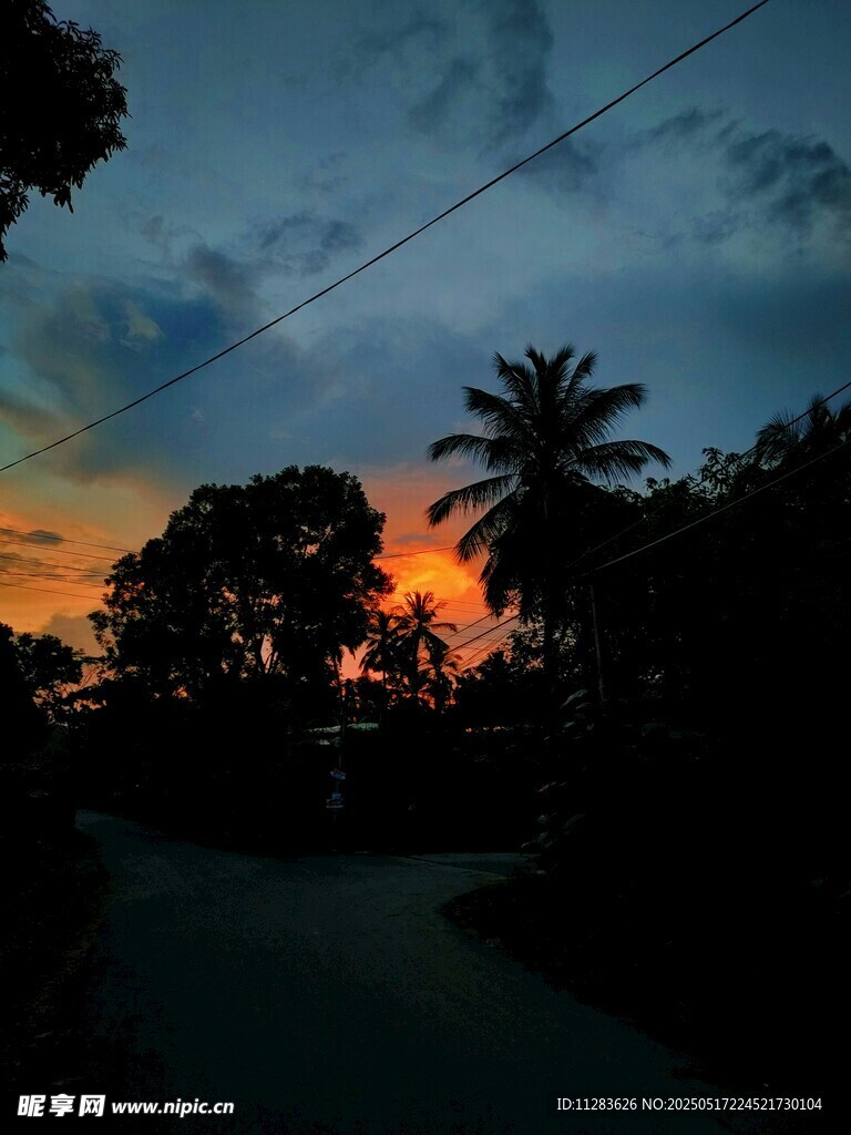 黄昏下的道路与树木景观