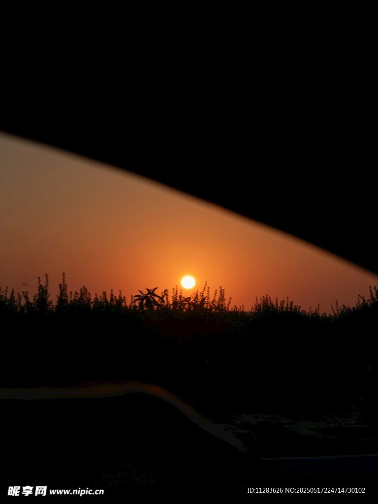 夕阳下的树梢剪影