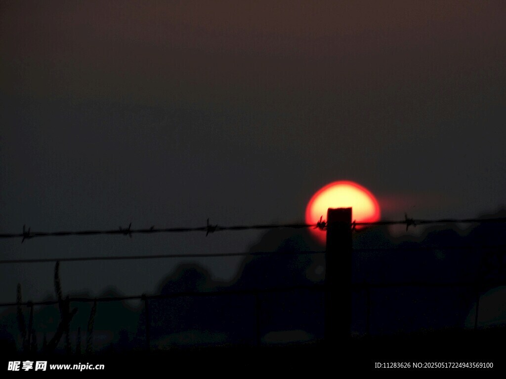 夕阳下的铁丝网景观