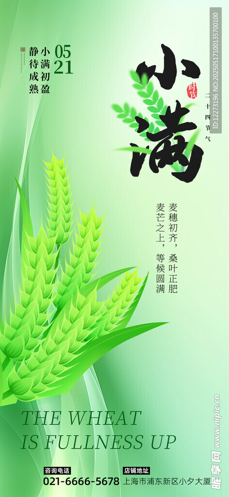 小满时节绿意浓