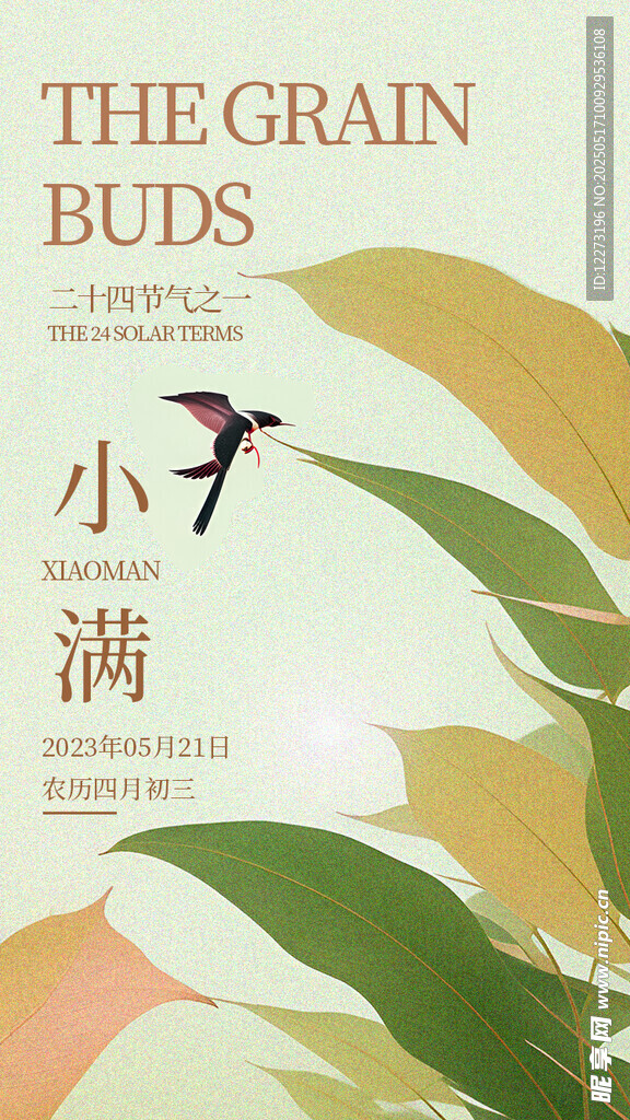 小满时节海报设计元素