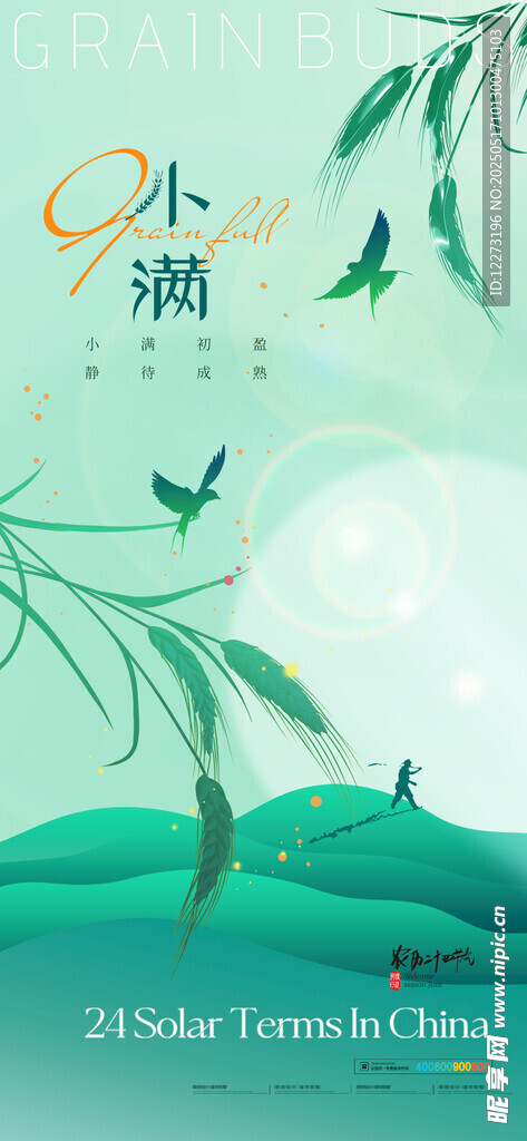 小满时节田园风光插画