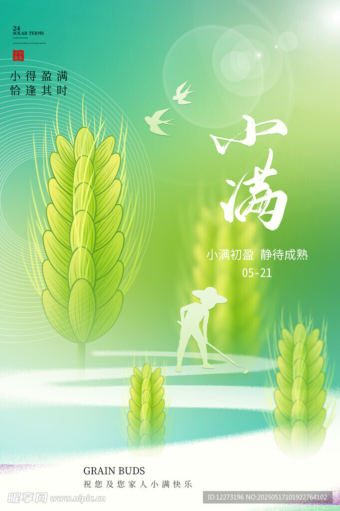 小满时节麦田清新景象