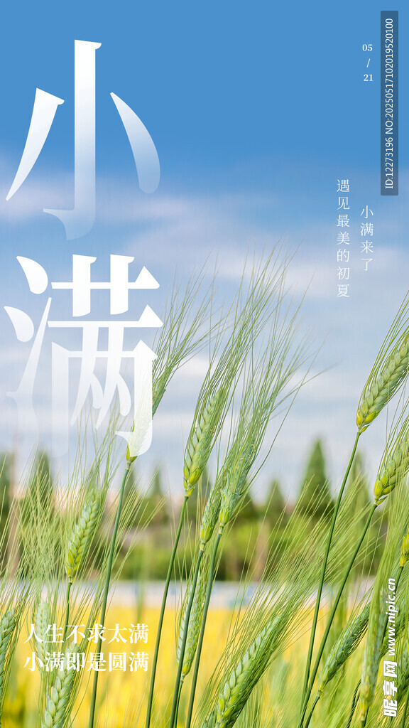 小满时节的田野风光