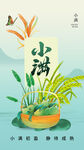 小满时节插画