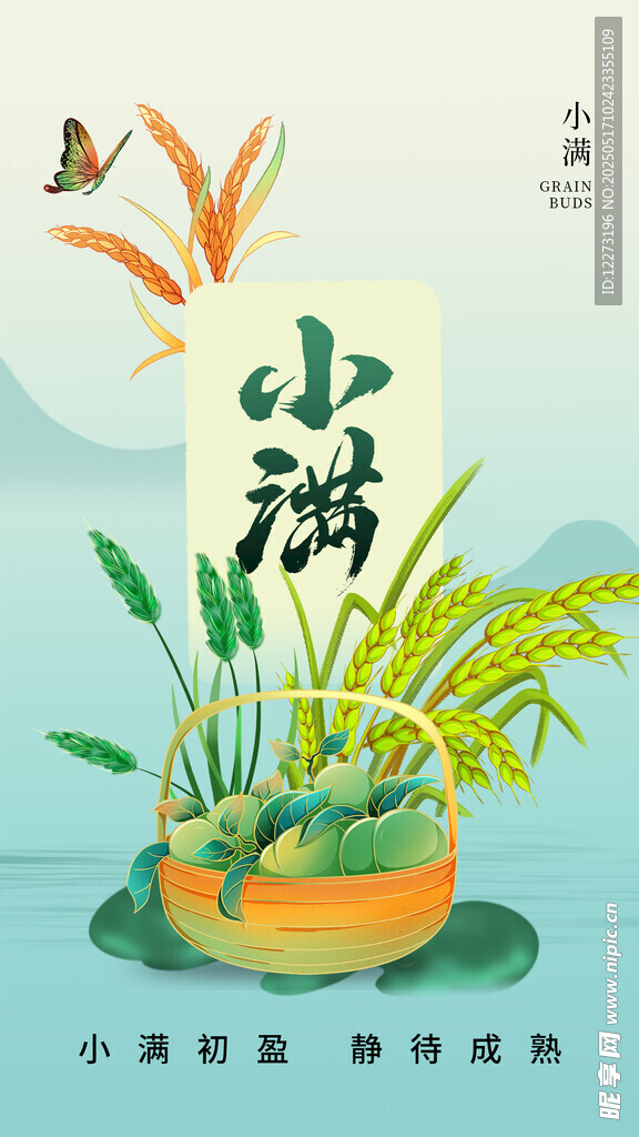 小满时节插画