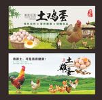 土鸡蛋