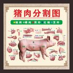 猪肉
