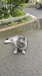 路边趴着的可爱猫咪