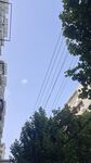 蓝天绿树间的城市景象