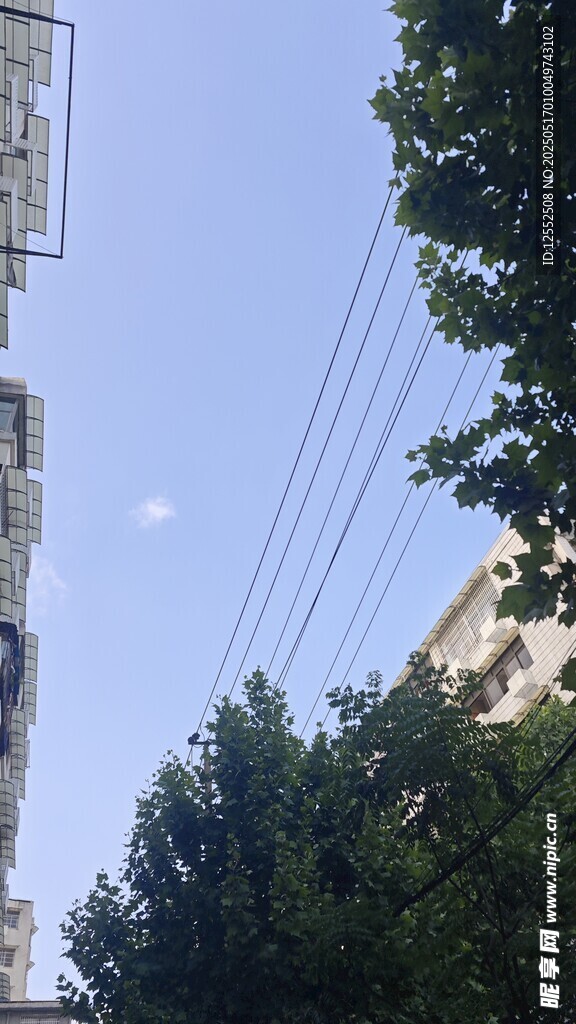 蓝天绿树间的城市景象