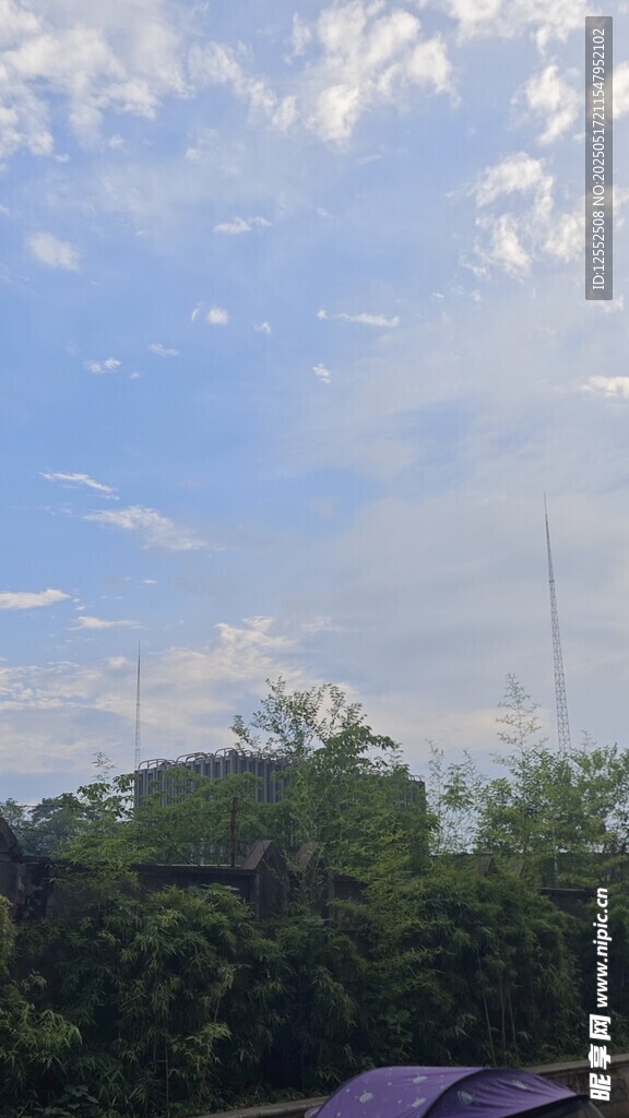 蓝天白云下的绿树景致