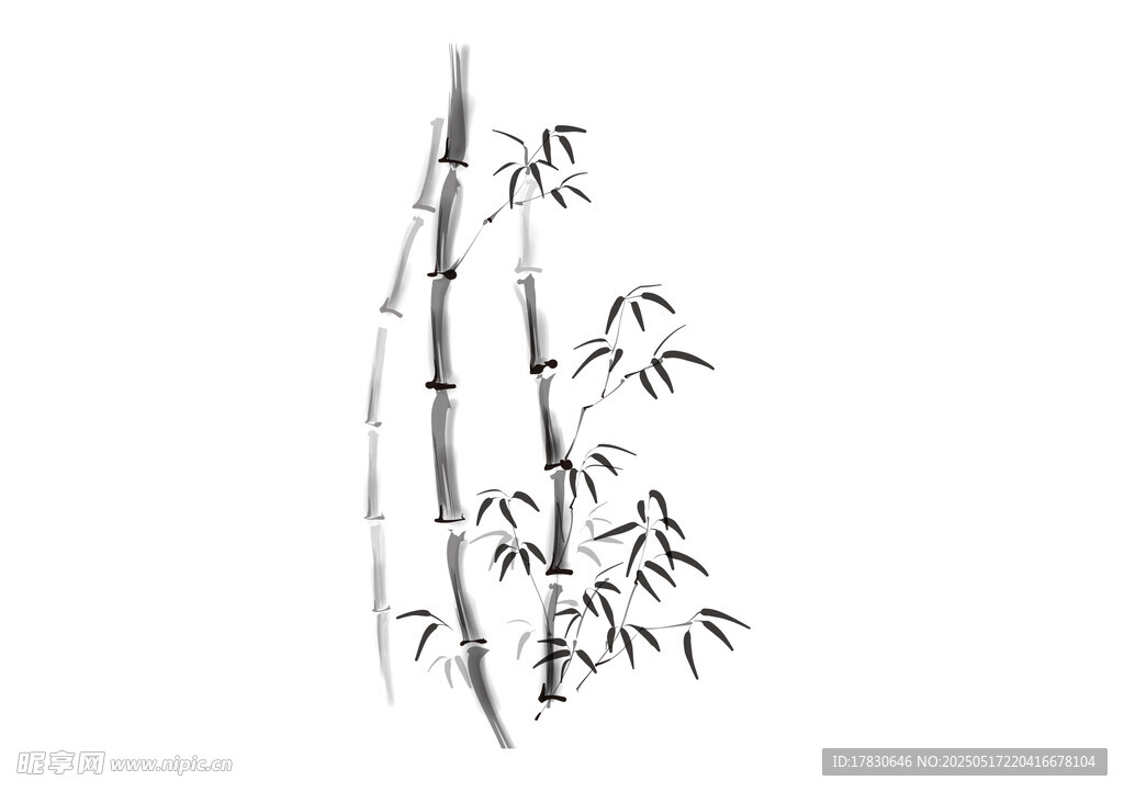 水墨风单枝竹子写意画