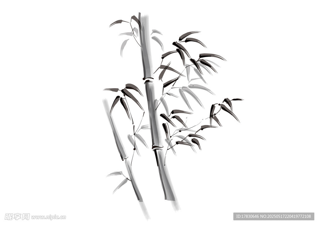 水墨风竹子插画