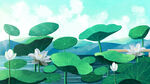 夏日荷塘美景