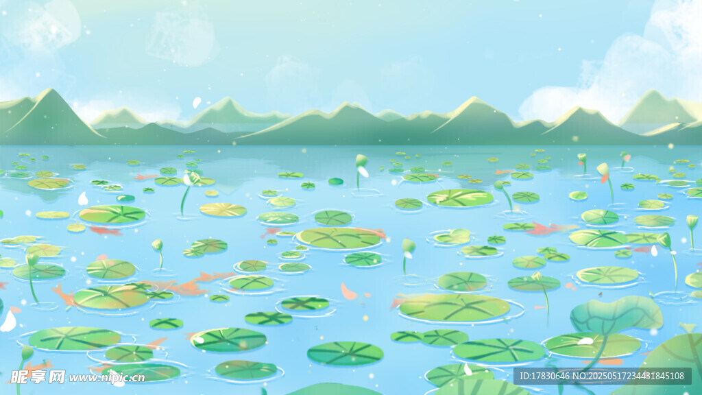 夏日荷塘美景