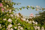花丛中隐约可见的红顶建筑