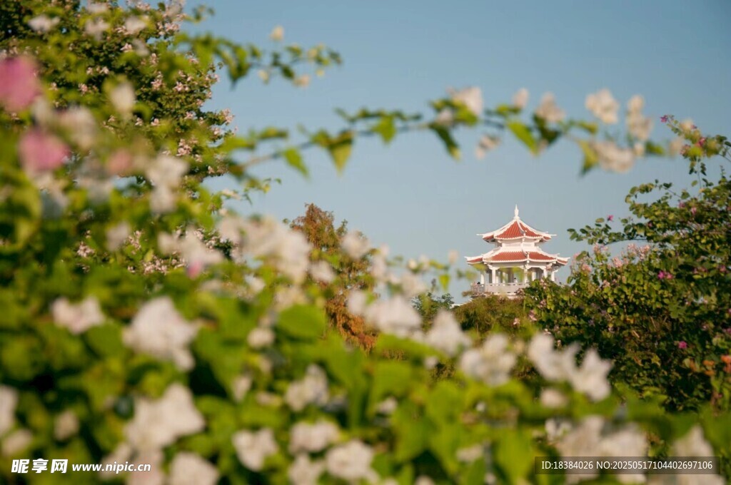 花丛中隐约可见的红顶建筑