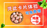 领鸡蛋卡片