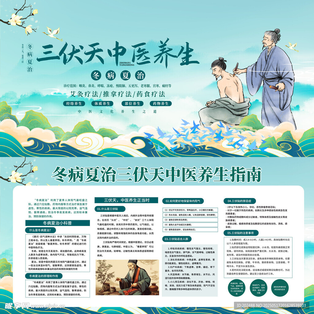简约国潮风三伏天中医养生展板