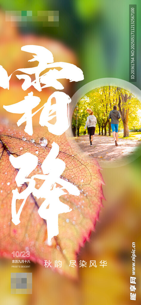 霜降海报