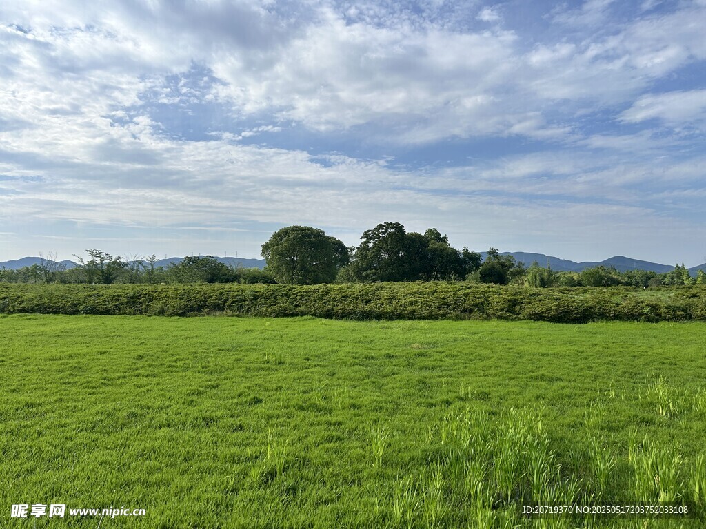 良渚遗址公园