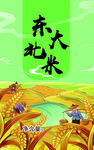 大米