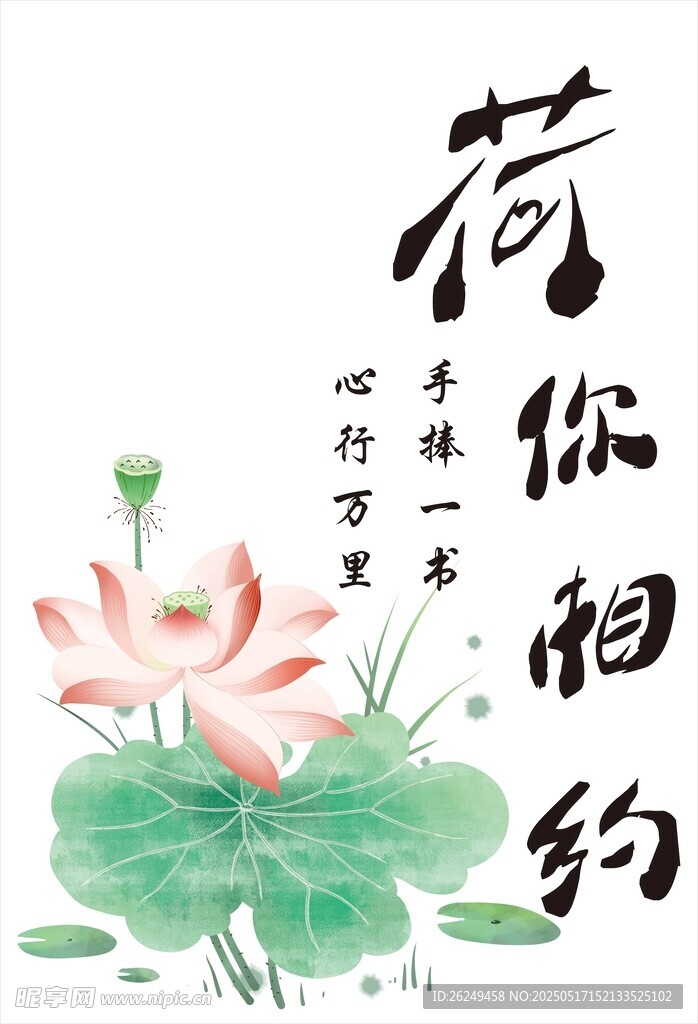 荷花相约 心灵宁静之境