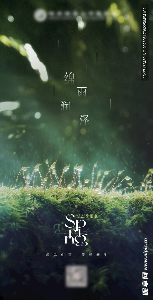 雨水节日节气海报