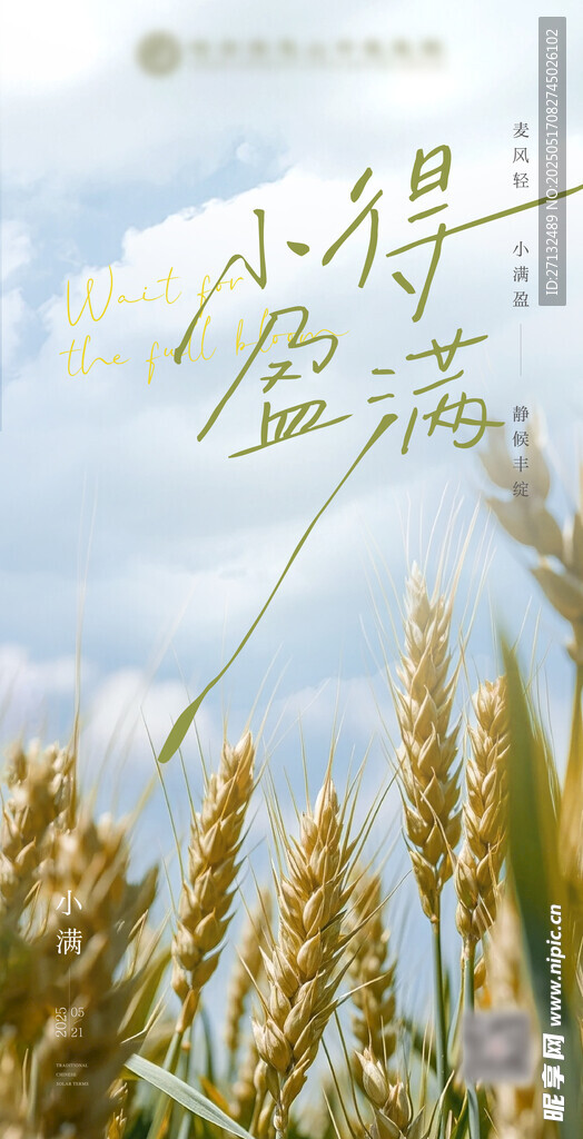 小满芒种节气海报