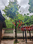 三苏祠