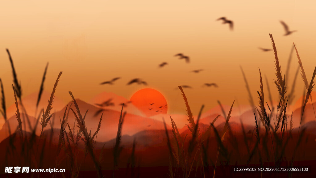 日落远山夕阳芦苇