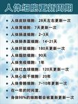 人体细胞更新周期