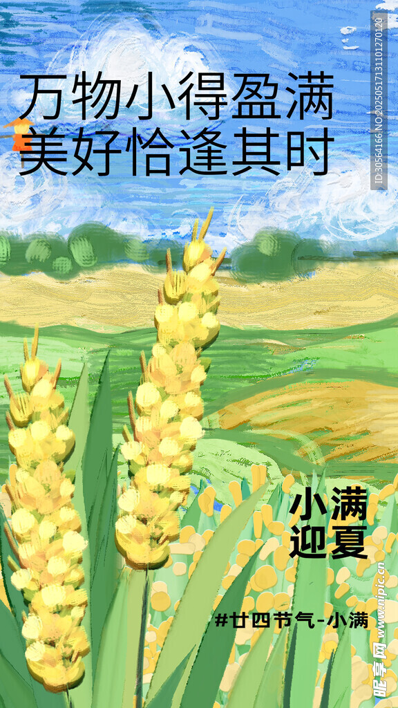 小满节气海报