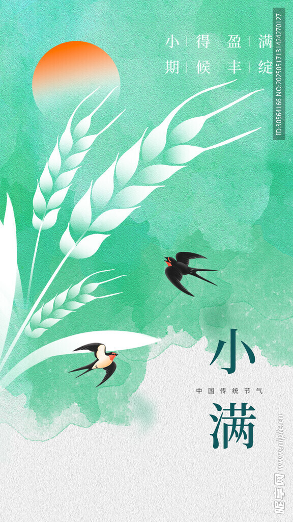 小满节气海报