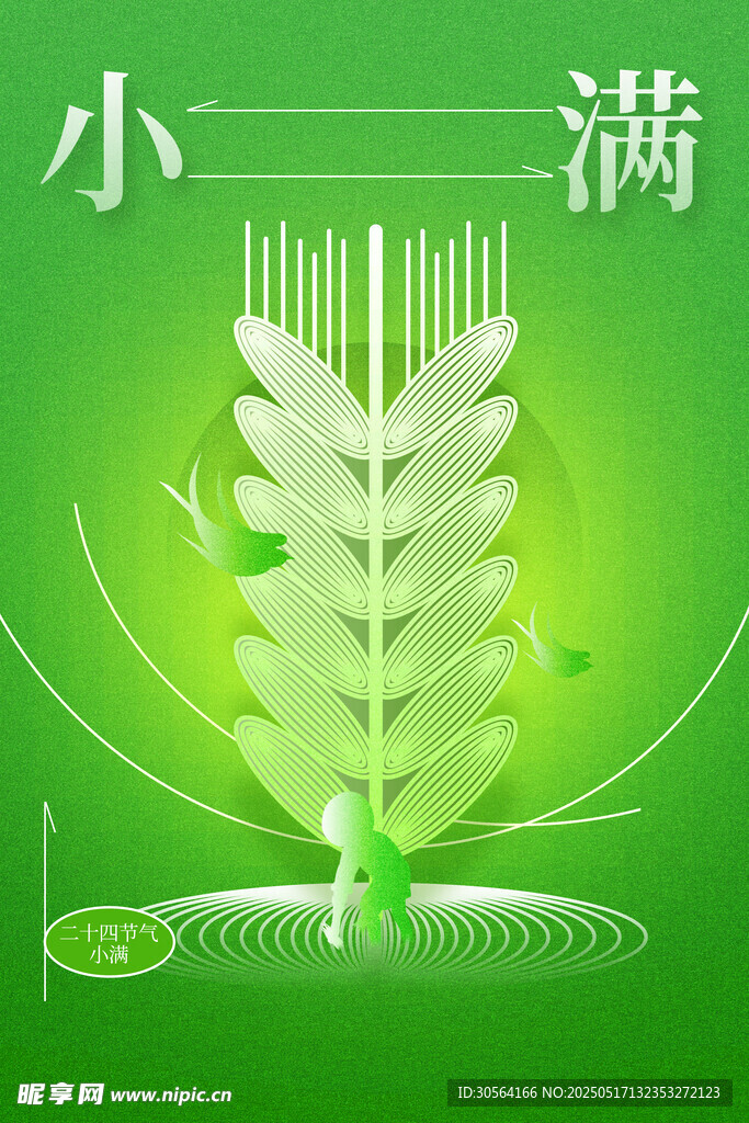 小满节气海报