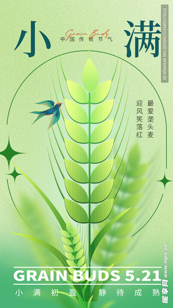 小满节气海报